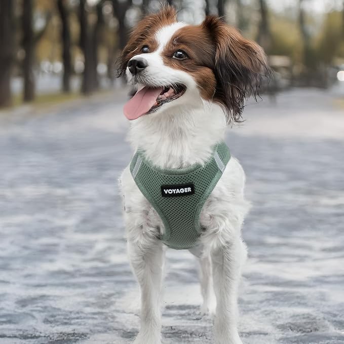 Best Pet Supplies - All Weather Mesh/Plush, Reflective, No Pull Harness for Small, Medium Dogs, Cats - Secure with Hook & Loop Fastener, Buckle, Double D-Rings - Moss Green, S