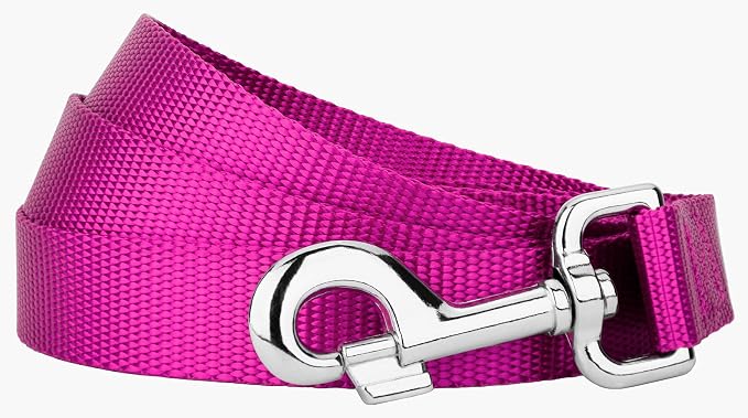 Country Brook Petz - Everyday Nylon Dog Leash - Strong, Durable, Solid Color Leash with Easy to Use Snap - 25+ Colors (1 Inch Wide, 6 Foot, Fuchsia)
