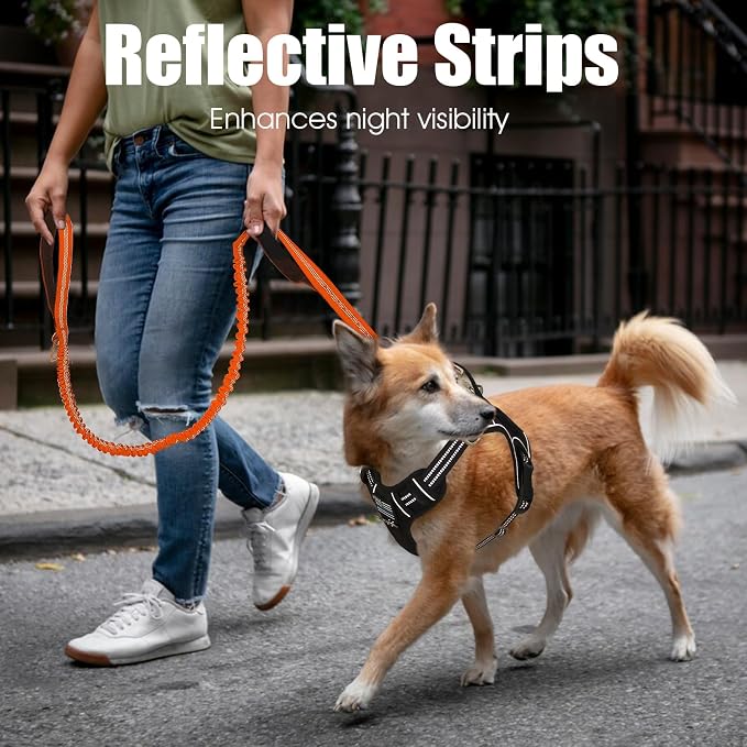 BUMBIN 6Ft Dog Leash - Large Dogs, Bungee Leash with 2 Handles, Heavy Duty, No Pull Shock Absorbing, Orange