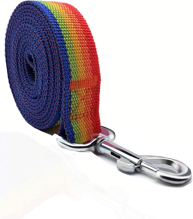 TAIAN 4FT/5FT/6FT Strong Dog Leash, Nylon Dog Leashes for Small Medium Large Dogs (Rainbow, 1 in x 10 ft)