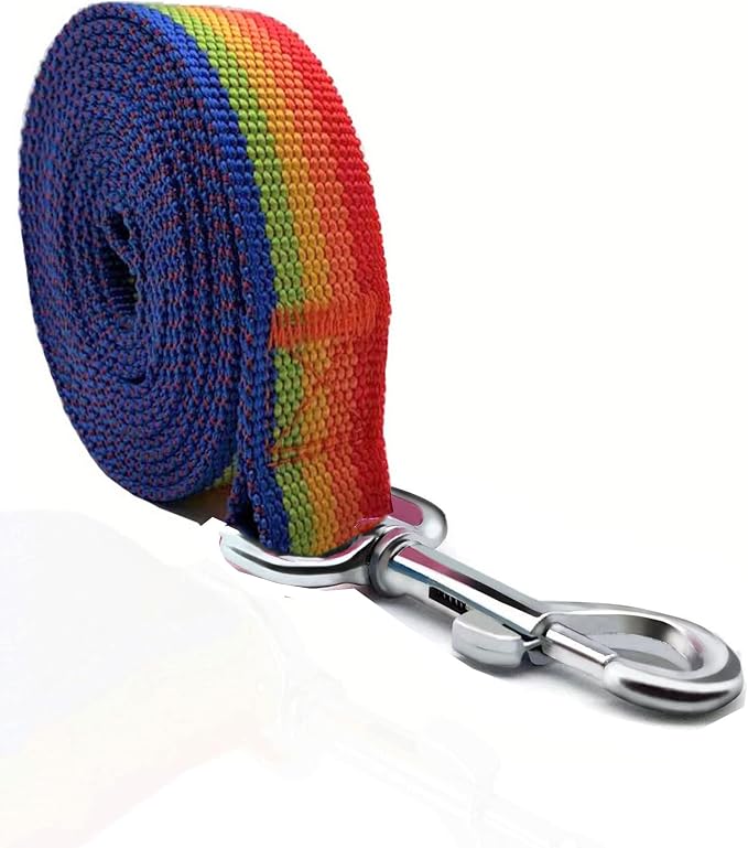 TAIAN 4FT/5FT/6FT Strong Dog Leash, Nylon Dog Leashes for Small Medium Large Dogs (1 in x 4 ft, Rainbow)