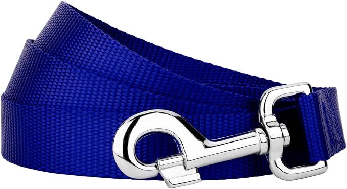 Country Brook Petz - Everyday Nylon Dog Leash - Strong, Durable, Solid Color Leash with Easy to Use Snap - 25+ Colors (1 Inch Wide, 4 Foot, Bright Royal Blue)