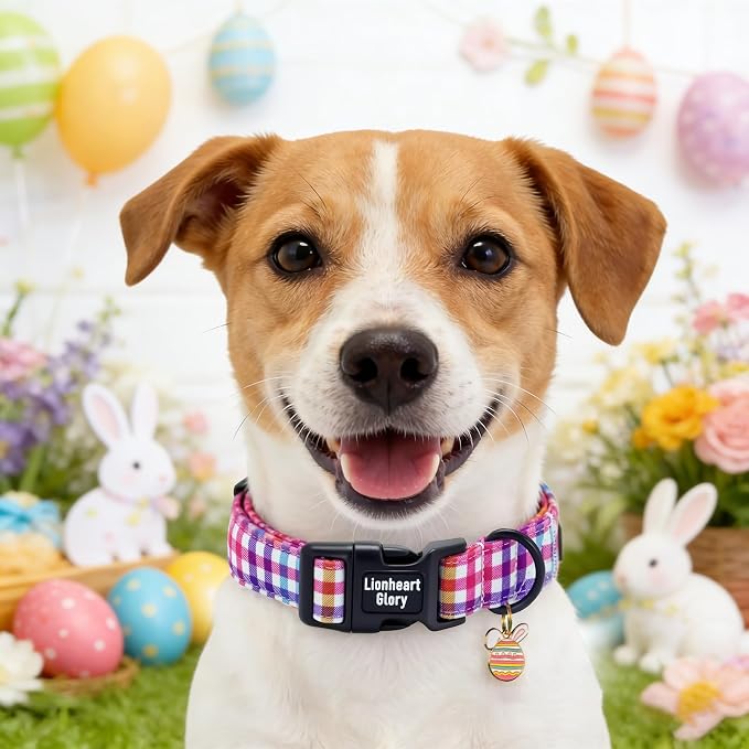 Lionheart glory Easter Day Dog Collar - Cute Dog Collars Sturdy Adjustable Buckle Colorful Plaid Collar Male Female Spring Pet Collars for Small Dogs Puppy