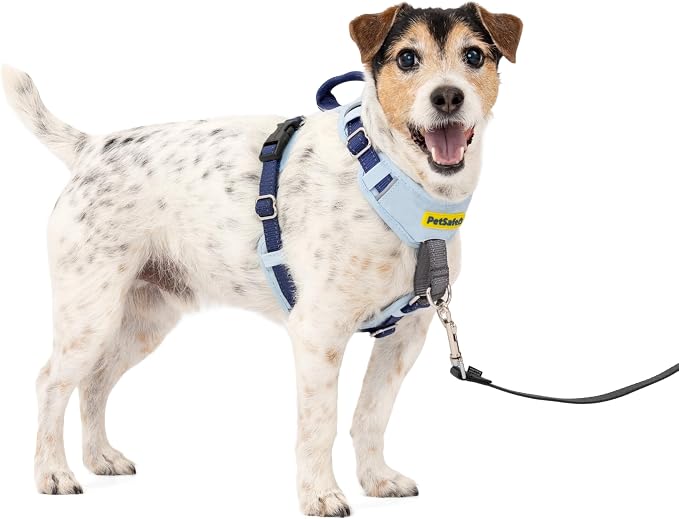 PetSafe Easy Walk Comfort No-Pull Dog Harness Full-Body Padding - Better Walks on the First Use - 5 Points of Adjustment Small, Blue