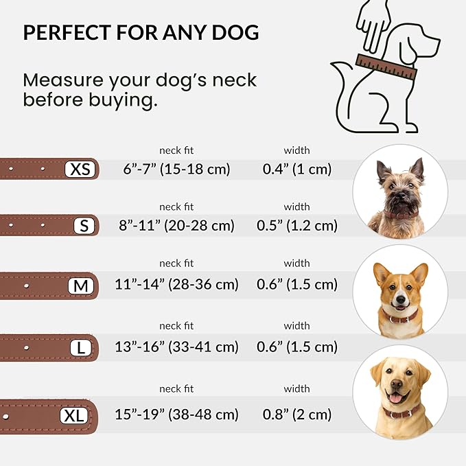 CollarDirect Reflective Rolled Leather Dog Collar, Soft Padded Round Puppy Collar, Handmade Genuine Leather Collar Dog Small Large Cat Collars 13 Colors (8-11 Inch, Cinnamon Reflective)