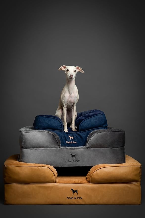 NOAH & PAW Giant Dog Bed XXL, 55x45x11 Inch, Orthopedic Dog Beds, Eggshell Memory Foam Infused with Cooling Gel, Inner Cover, Water Resistant, Machine Washable (Velvet Sofa Collection)