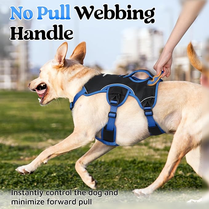 rabbitgoo Escape Proof Dog Harness Large Dogs, Soft Padded Full Body Pet Harness, Reflective Adjustable No Pull Vest with Lift Handle and Leash Clip for Walking Hiking Training, Blue & Black, L