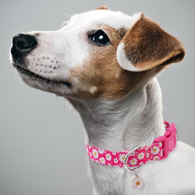 Faygarsle Cotton Dog Collar Cute Dog Collars for Small Medium Large Dogs Hot Pink Floral Colored Options Soft and Fancy Pet Collars for Girls Flower Pattern for Girl Dog Collar L