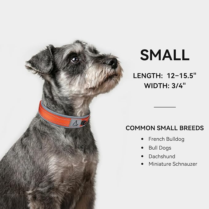 Joytale Dog Collar for Small Dogs, Neoprene Padded and Adjustable, Reflective Wide Heavy Duty Pet Collars with Durable Metal Belt Buckle for Walking, Orange, S