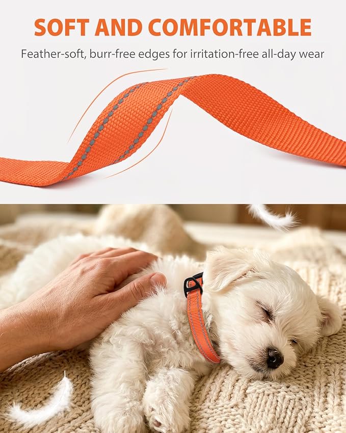 Joytale Small Dog Collar, Durable Double-Sided Reflective Nylon Collar for Night Safety, Adjustable Quick-Release for Active Breeds, Orange, S (3/4" Width)