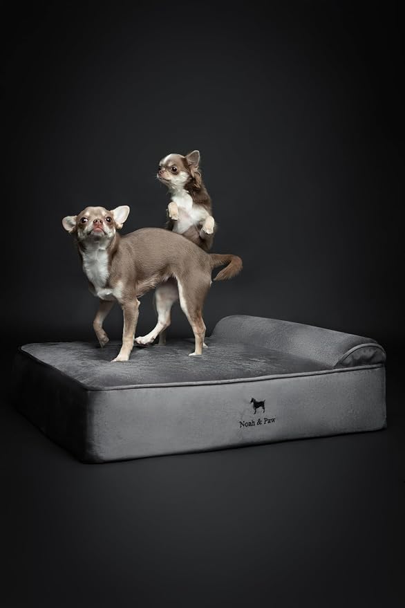 NOAH & PAW Dog Bed, 28x23x7.5 Inch, Orthopedic Dog Beds for Medium Size Pets, Eggshell Memory Foam Infused with Cooling Gel, Water Resistant, Machine Washable, Includes Inner Cover (Velvet Collection)