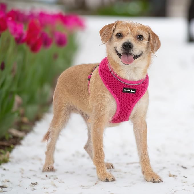 Best Pet Supplies Voyager Aerolite Over the Head Dog Harness, No Pull Breathable Air Mesh Vest, Quick Dry with Reflective Stitching, Adjustable Escape Resistant Harness - Fuchsia, Large
