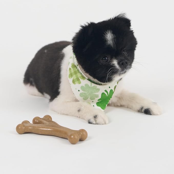 SPOT Bam-Bones Wishbone Dog Chew Toy, Bamboo Fiber Blend, Non-Splintering Durable Chew for Light to Moderate Chewers, Adult Dogs & Teething Puppies 10–30 lbs, Chicken Flavor, 5.25 in