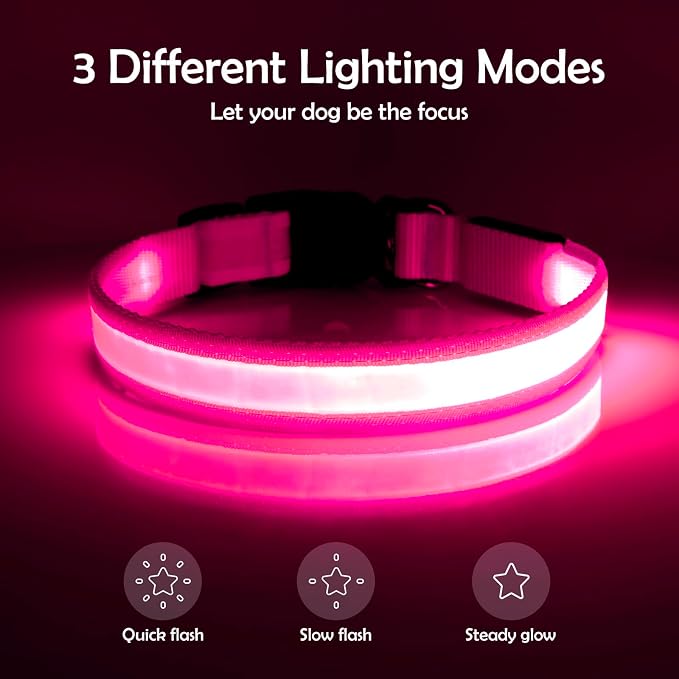 Vizpet LED Dog Collar, Light Up Dog Collar Adjustable USB Rechargeable Super Bright Safety Light Glowing Collars for Dogs (Small, Pink)