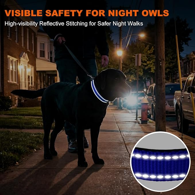 Taglory Reflective Dog Collar for Large Dogs, Soft Neoprene Padded with Escape-Proof Locking Buckle, Upgraded Zinc Alloy Ring, Adjustable for Pitbull Labrador Retriever, Blue,L