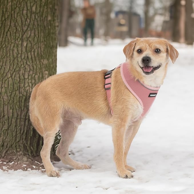 Best Pet Supplies Voyager Aerolite Over the Head Dog Harness, No Pull Breathable Air Mesh Vest, Quick Dry with Reflective Stitching, Adjustable Escape Resistant Harness - Pink, Medium