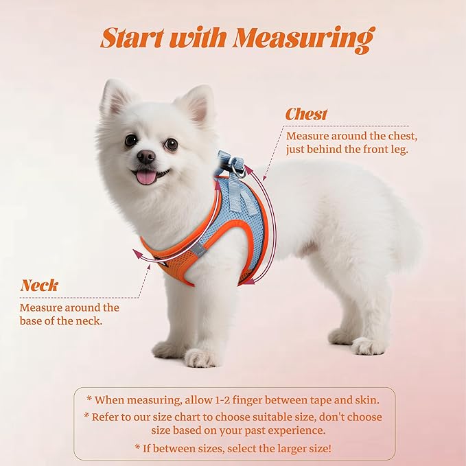 YIMEIS Dog Harness and Leash Set, No Pull Soft Mesh Pet Harness, Reflective Adjustable Puppy Vest for Small Medium Large Dogs, Cats (Orangeblue, Small (Pack of 1)
