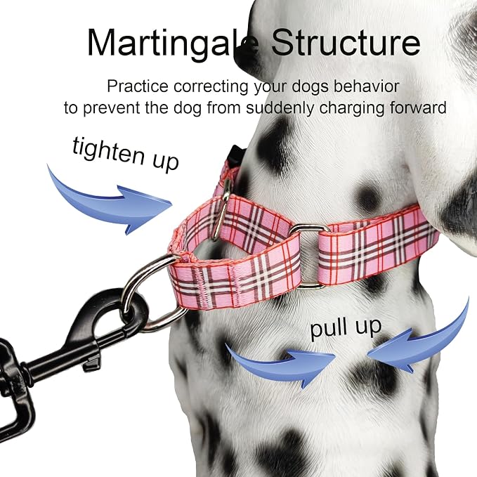 Martingale Collar with Quick Release Buckle Cute Girl Female Training Dog Collars (Pink Plaid, Small)