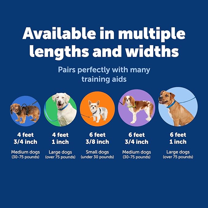 PetSafe Nylon Dog Leash Strong, Durable, Traditional Style Lead with Easy to Use Bolt Snap for Small, Medium and Large Dogs 3/4" x 6', Deep Purple