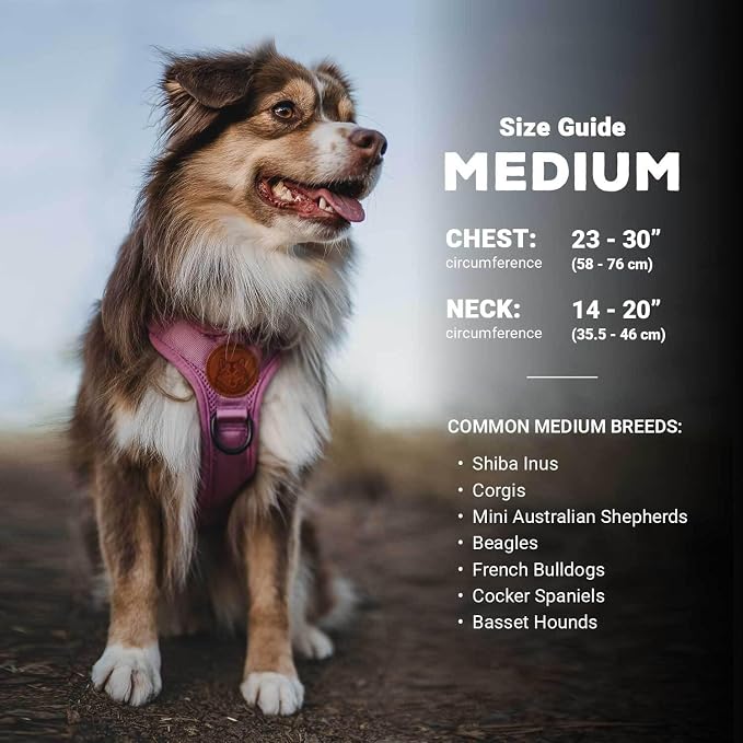Wilderdog Lightweight Dog Harness with Reflective Straps - Medium - Pacific Blue