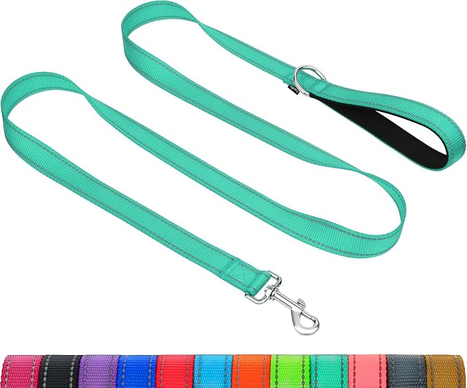 Taglory Dog Leash for Medium Large Dogs, Double-Sided Reflective for Night Walking, Neoprene Padded Handle, 1 inch by 6 ft, Heavy Duty for Medium Large Breeds 20-150 lbs, Turquoise