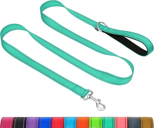 Taglory Dog Leash for Small Dogs, Double-Sided Reflective for Night Walking, Neoprene Padded Handle, 3/4 inch by 6 ft, Lightweight for Small Medium Breeds up to 30 lbs, Turquoise
