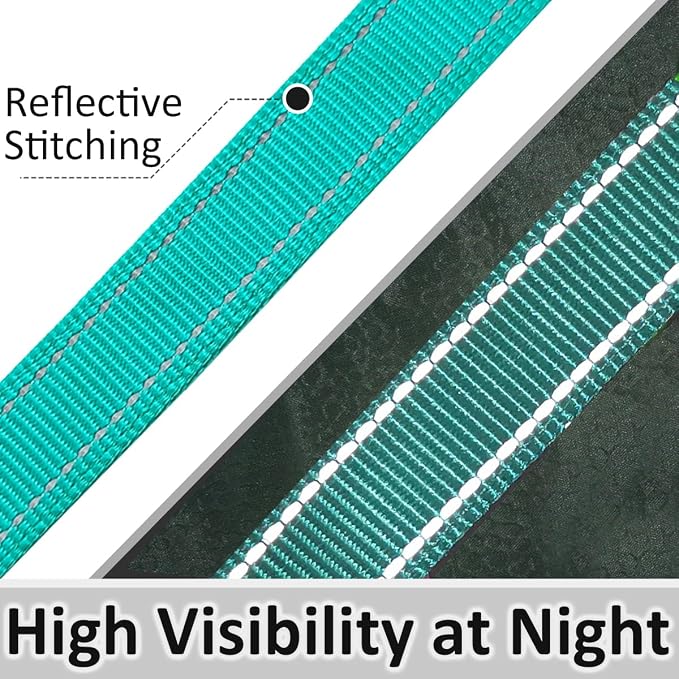 3 Handle Dog Leash, 10FT Triple Handle Dog Leash Heavy Duty with Reflective Stitching, Padded Traffic Handles for Training, Control & Safety -Turquoise