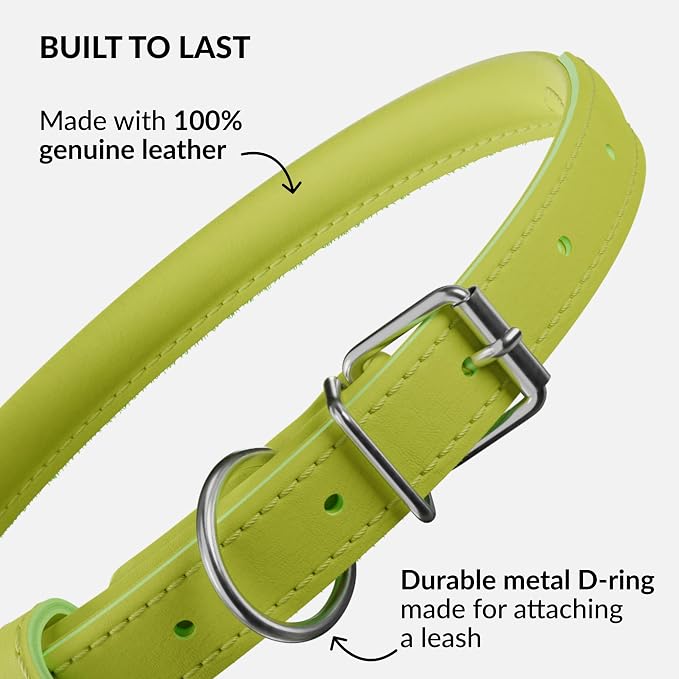 CollarDirect Rolled Leather Dog Collar, Soft Padded Round Puppy Collar, Handmade Genuine Leather Collar Dog Small Large Cat Collars 13 Colors (15-19 Inch, Lime Green Smooth)