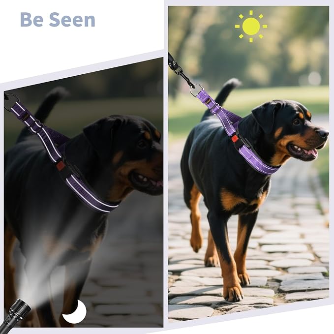 Mayerzon Martingale No Pull Collar for Medium Large Dogs, Patented Anti Pull Dog Collar with Buckle for Walking Training, with Reflective Stitching and Neoprene Padding, Adjustable(Purple, L)