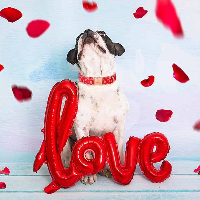 Valentines Dog Collar, Red Pink Heart Valentine Pet Collar with Metal Buckle, Durable Adjustable Holiday Dog Collars for Small Medium Large Dogs S