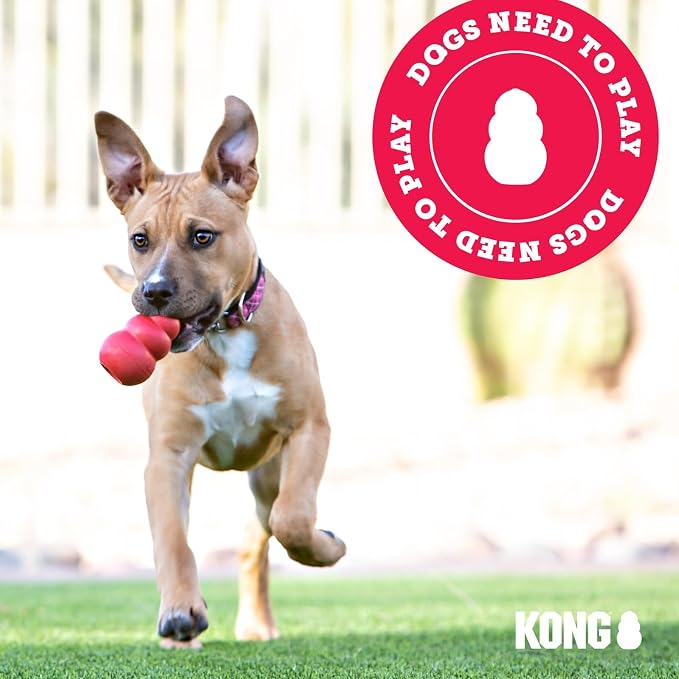 KONG - Puppy Toy - Natural Teething Rubber - Fun to Chew, Chase and Fetch ( Colors May Vary)