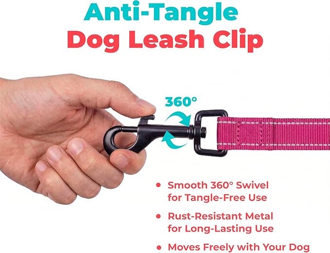 Best Pet Supplies Voyager Reflective Dog Leash or Collar with Neoprene Handle, for Small, Medium, and Large Breed Puppies, Cute and Heavy Duty for Walking, Running and Training - Fuchsia Leash, L