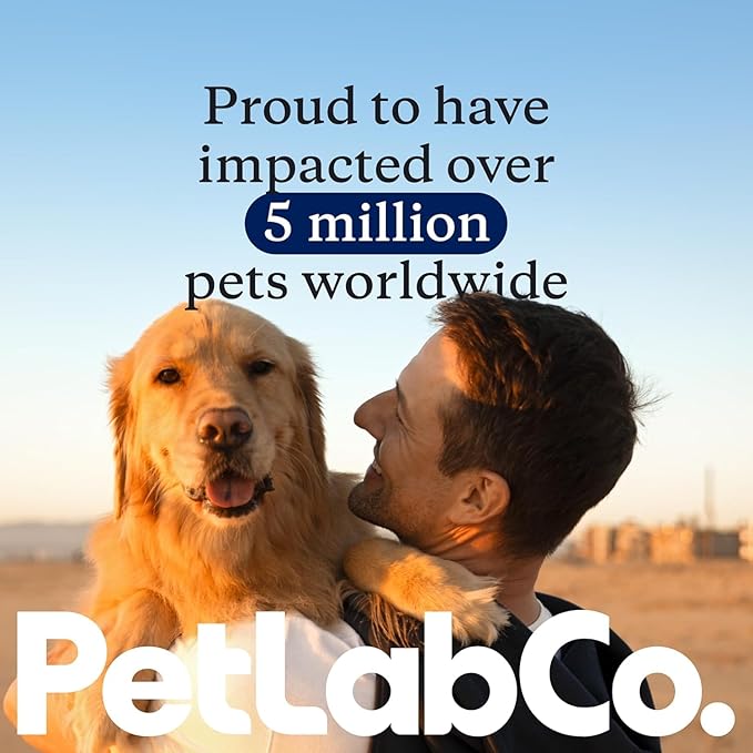 PetLab Co. Dental Sticks – Dog Dental Chews -Target Plaque & Tartar Build-Up at The Source - Designed to Maintain Your Dog’s Oral Health, Keep Breath Fresh and Provide Digestive Help (24 Sticks)