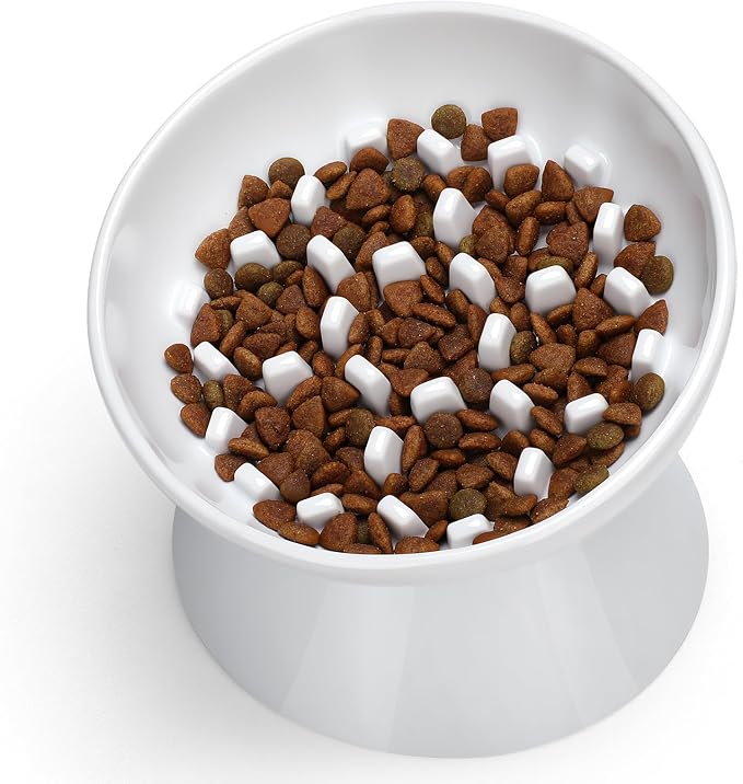 Ceramic Slow Feeder Cat Bowl, 2 Cups Tilted Elevated Cat Slow Feeder Bowl for Dry and Wet Food, Honeycomb Design for Preventing Vomiting & Bloating (White-Honeycomb)
