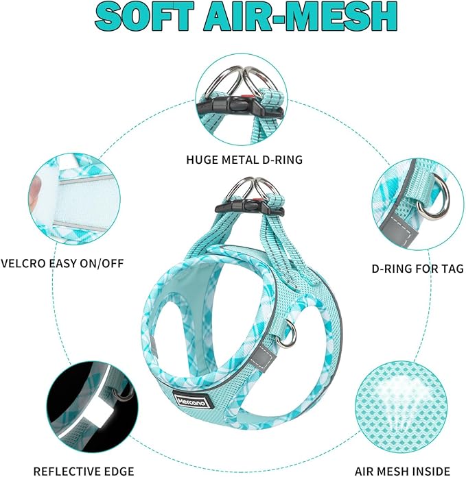 Mercano Soft Mesh Dog Harness and Leash Set, Step-in Reflective Breathable Lightweight Vest Harnesses with Safety Buckle for Small Dogs, Cats (Light Blue, XXS)