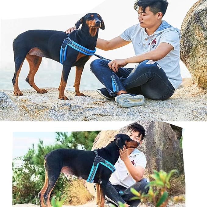 Dog Harness No Pull Ultra Soft Breathable Padded Pet Harness 2 Adjustable Botton, 3M Reflective Pet Harness for Dogs Easy Control for Small Medium Large Dogs(S. Black)