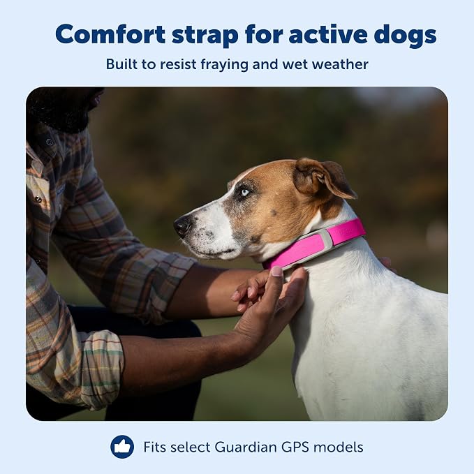 PetSafe Replacement Strap for Guardian GPS + Tracking Dog Fence Collar, Made with Soft-Touch Nylon for Enhanced Comfort and Long-Lasting Wear - Water-Wicking, Waterproof Material, Pink