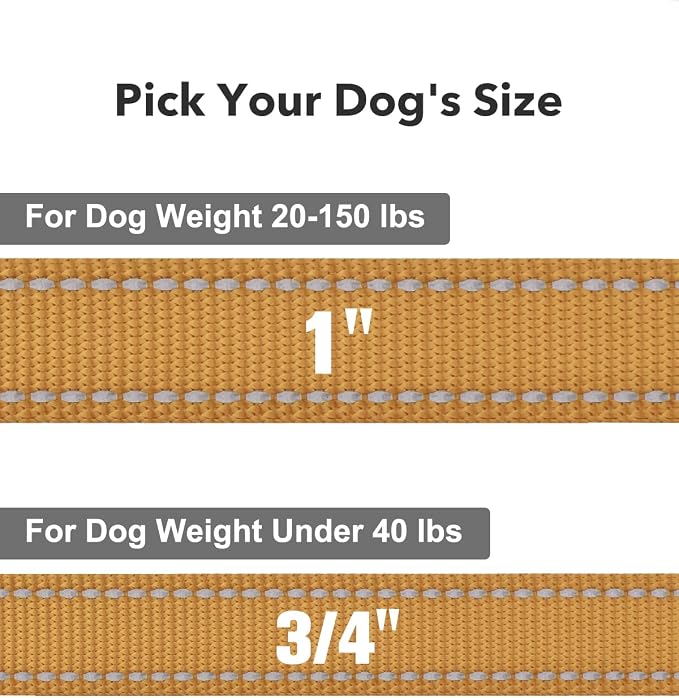 Taglory Dog Leash for Medium Large Dogs, Double-Sided Reflective for Night Walking, Neoprene Padded Handle, 1 inch by 6 ft, Heavy Duty for Medium Large Breeds 20-150 lbs, Tan