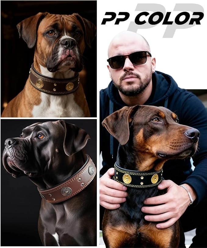 Genuine Leather Dog Collar for Large Dogs,2 in Wide Heavy Duty,OR-S | Handmade,Stainless Steel Pin Buckle,Soft Padded,Alloy Studded,Luxury Eye-catching Design,Medium Large Giant Breeds,15-19 in