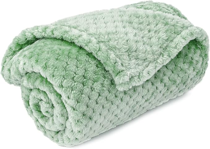 Warm Soft Fuzzy Dog or Cat Blanket, Plush Fleece Throws for Bed, Couch, Sofa, Travel (M/32" x 40", Mint)