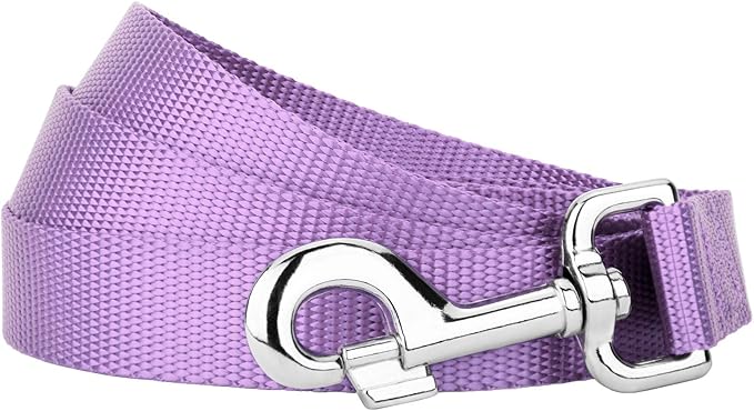Country Brook Petz - Everyday Nylon Dog Leash - Strong, Durable, Solid Color Leash with Easy to Use Snap - 25+ Colors (1 Inch Wide, 4 Foot, Lavender)