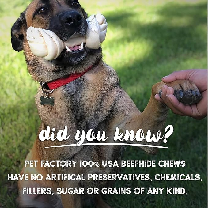 Pet Factory 7in Braided Beefhide Dog Chew Sticks with Peanut Butter Flavor - 100% USA Made Rawhide Chews for Medium Dogs, Long Lasting Dental Health, 7 inches (Pack of 6)