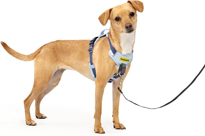 PetSafe Easy Walk Comfort No-Pull Dog Harness Full-Body Padding - Better Walks on the First Use - 5 Points of Adjustment X-Small, Blue