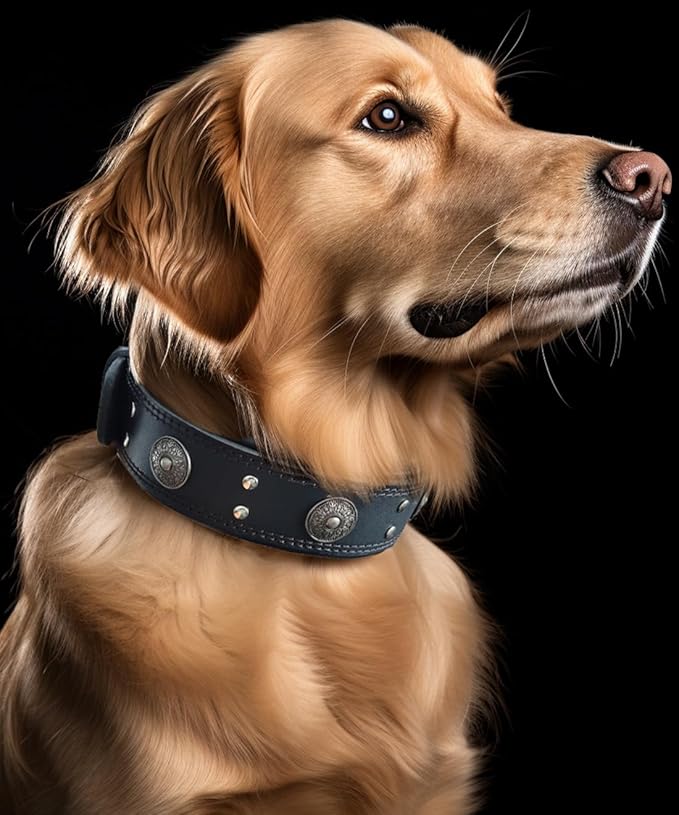 Genuine Leather Dog Collar for Large Dogs,2 in Wide Heavy Duty,BK-S | Handmade,Stainless Steel Pin Buckle,Soft Padded,Alloy Studded,Luxury Eye-catching Design,Medium Large Giant Breeds,15-19 in