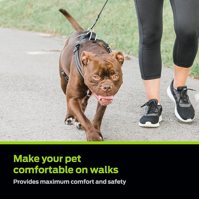 Premier Pet No Pull Comfort Harness - Reduces Pulling for Better Walks - Adjustable Fit with 4 Points - Soft Padded Design for Comfort - Reflective Stitching for Safety - Easy to Use Everyday - Medium
