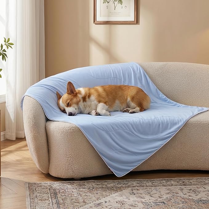 ZOMISIA Cooling Blanket for Medium Dogs - Lightweight Dog Cooling Mat with Breathable Air-Core Fill, Cold Pet Throw Blanket Washable for Summer, Soft Bed Cover, Blue, 30"x40"