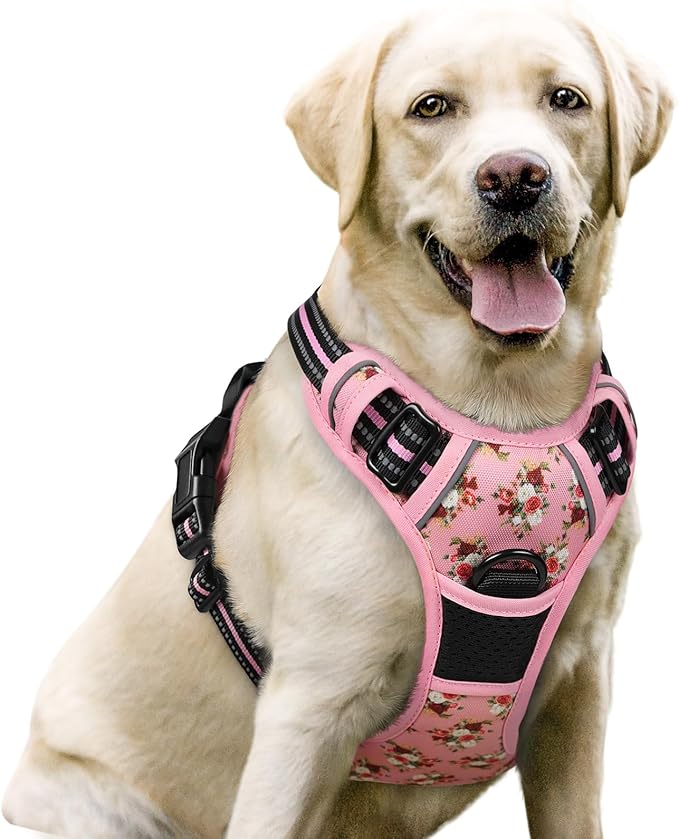 rabbitgoo Dog Harness No Pull with 2 Leash Clips, Adjustable Soft Padded, Reflective Oxford No Choke Pet Vest with Easy Control Handle for Large Dogs, Pink Rose, L