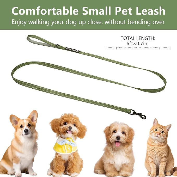 Reflective 6 FT Dog Leash, Premium Traditional Style Puppy Leash with Easy to Use Collar Hook for Small, Medium, and Large Breed Puppies (Green, 3/4 in x 6 ft)