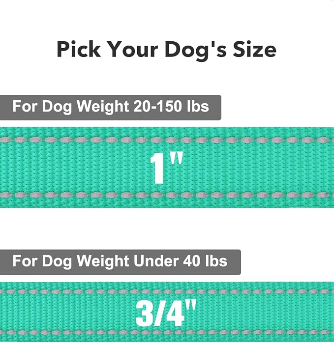 Taglory Dog Leash for Medium Large Dogs, Double-Sided Reflective for Night Walking, Neoprene Padded Handle, 1 inch by 4 ft, Heavy Duty for Medium Large Breeds 20-150 lbs, Turquoise