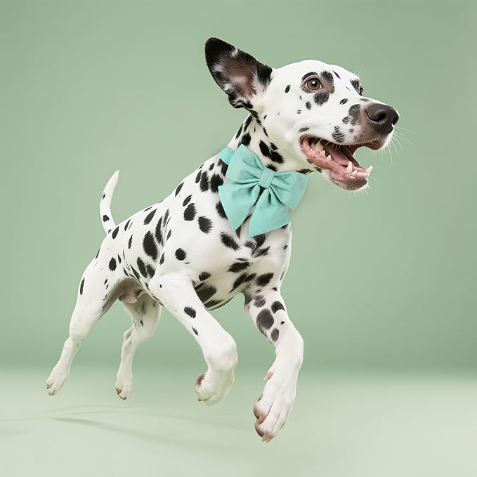 Maca Bates Mint Green Dog Collar with Cute Solid Sailor Bow Tie for Extra Large Girl Boy Dogs,Adjustbale Durable Breakaway Soft Collars with Bowtie for Female Male Puppy,Pet with Metal Buckle